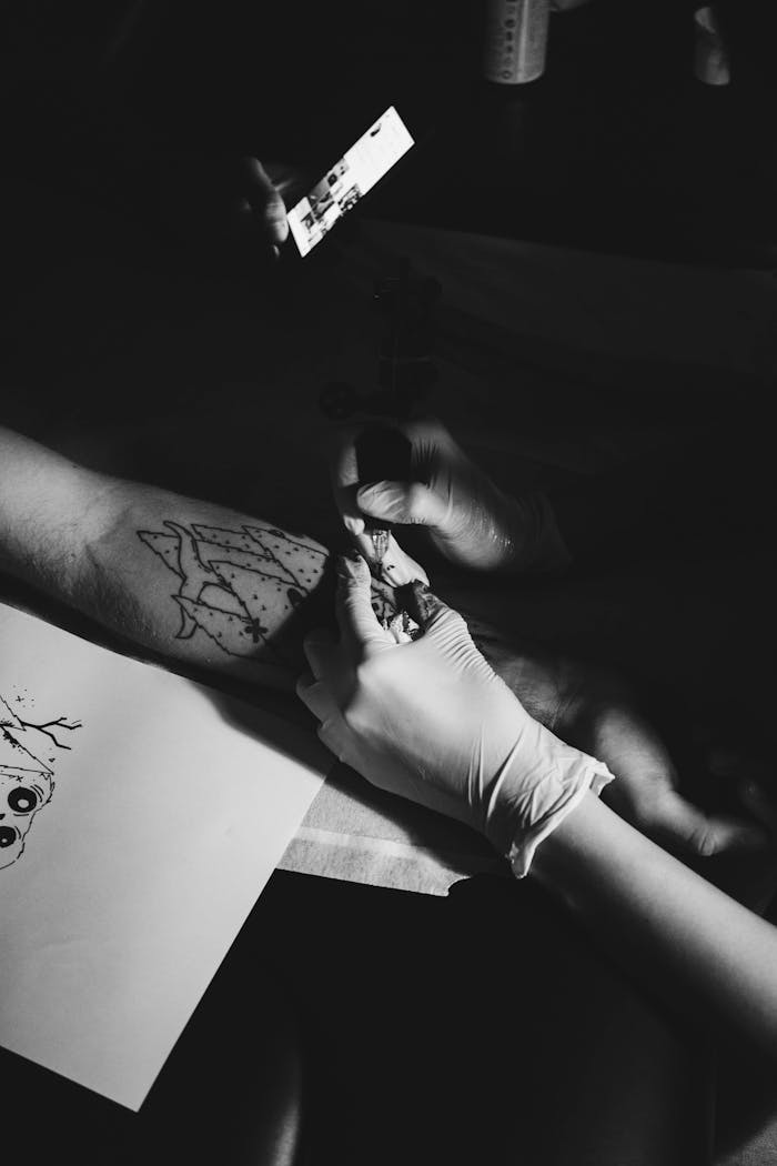 pexels-photo-1433272-1433272.jpg